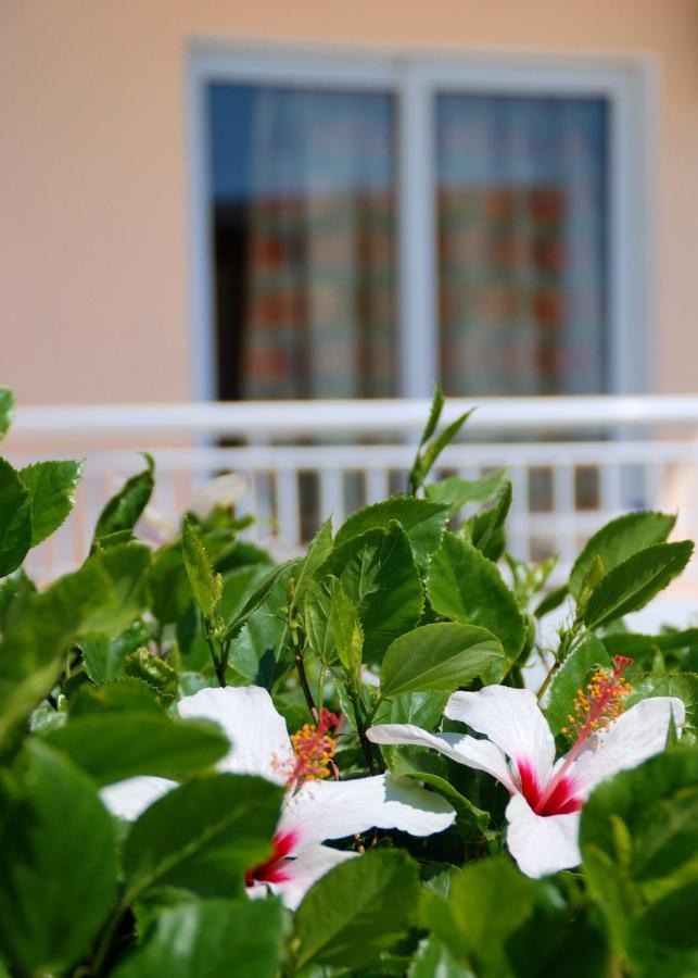 Diagoras Hotel All Inclusive 法里拉基 外观 照片